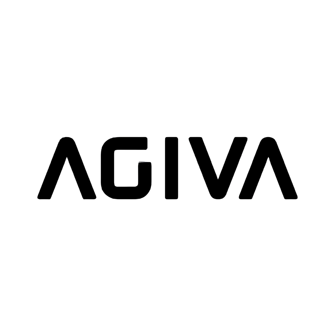 Agiva
